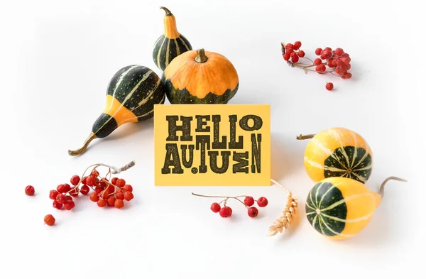 Fall decorations, card with Hello Autumn text. Natural decorative Fall pumpkins and red rowan berry. Natural seasonal Fall composition in red and green on off white background.