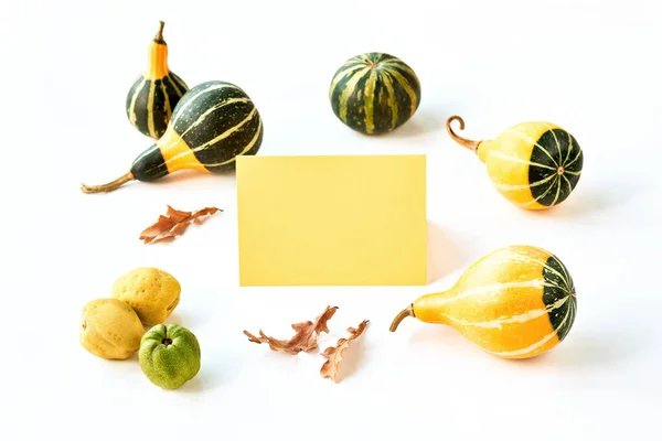 Natural Autumn decorations. Decorative Fall pumpkins and quince. Copy-space, place for text on paper card. Fall composition in yellow, stripy green on off white background.