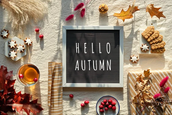 Text Hello Autumn Letterboard Fall Decor Chrysanthemum Flowers Dry Bunny — Zdjęcie stockowe