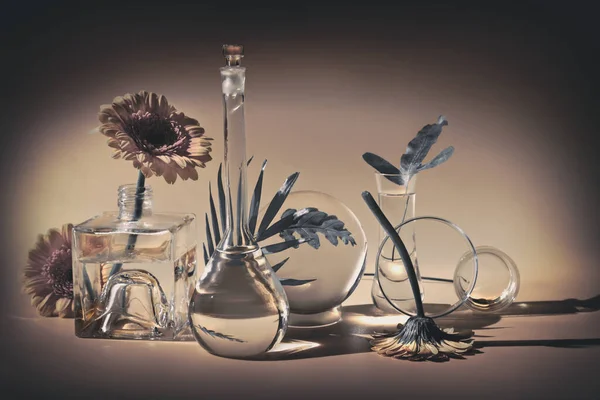 Biophilia Design Background White Gerbera Exotic Leaves Flowers Transparent Glass Imagen De Stock