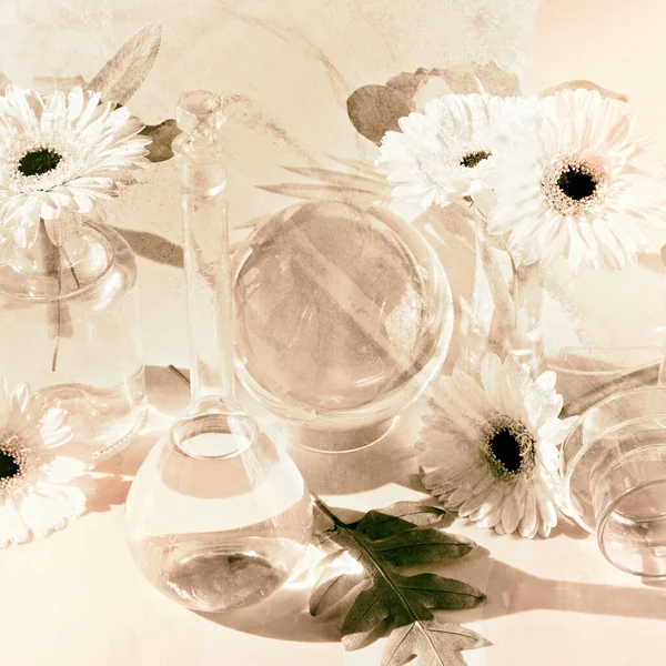 Biophilia Design Background White Gerbera Exotic Leaves Flowers Transparent Glass — Stock Photo, Image