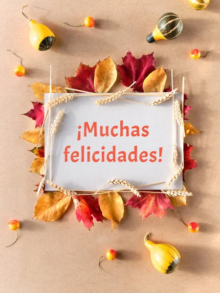 Autumn Frame Caption Greeting Text Muchas Felicidades Means Congratulations Spanish — Foto de Stock