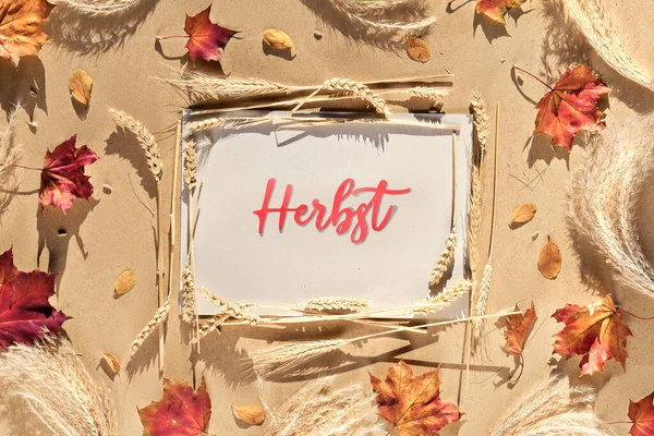 Autumn frame, caption greeting text Herbst means Autumn in German language. Natural Fall leaves, wheat ears and pampas grass. Natural terracotta, beige, yellow and red color shades. Flat lay, top view