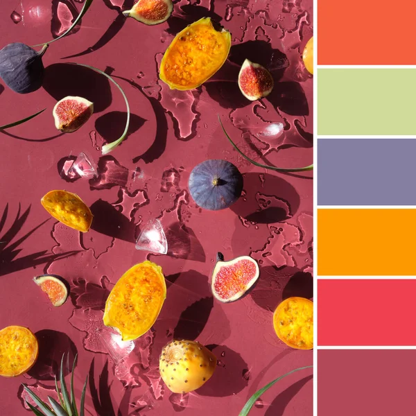 Color matching palette from image of from image of exotic fruits. Purple fig, yellow and orange prickly pears, healthy cactus fruits on red background. Flat lay, direct sunlight with shadows.