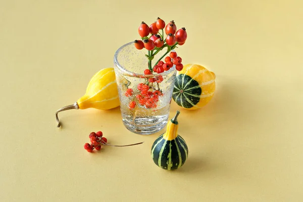 Natural Autumn decorations on yellow paper. Decorative Fall pumpkins and red rowan berry. Minimal, simple natural seasonal Fall decor with glass.