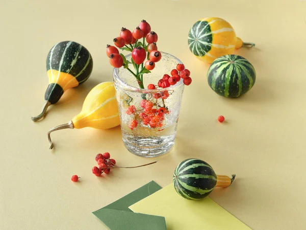 Natural Autumn decorations on yellow paper. Decorative Fall pumpkins and red rowan berry. Minimal, simple natural seasonal Fall decor with glass. Green yellow paper envelope and greeting card.