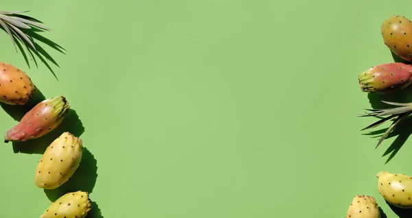 Terveellisiä Kaktuksen Hedelmiä Vihreällä Taustalla Panoraama Banneri Linja Keltainen Oranssi — kuvapankkivalokuva