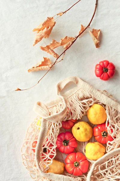 Pequeñas Calabazas Naranjas Membrillo Amarillo Vibrante Una Bolsa Malla Color — Foto de Stock