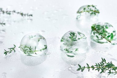 Wet off white water background with melting balls of ice with frozen herbs. Rosemary, oregano and thyme plants. Frozen plants inside pieces of ice. Direct natural sunlight with shadows.