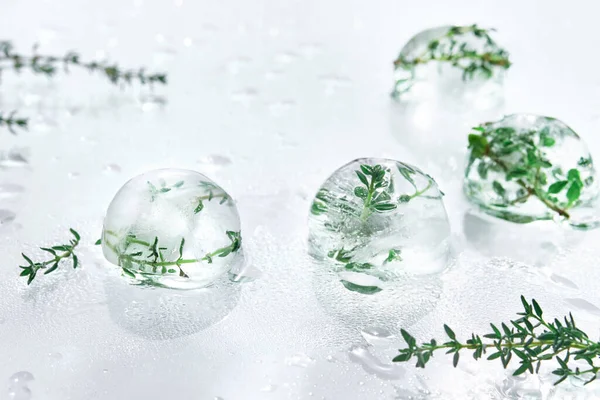 Wet off white water background with melting balls of ice with frozen herbs. Rosemary, oregano and thyme plants. Frozen plants inside pieces of ice. Direct natural sunlight with shadows.