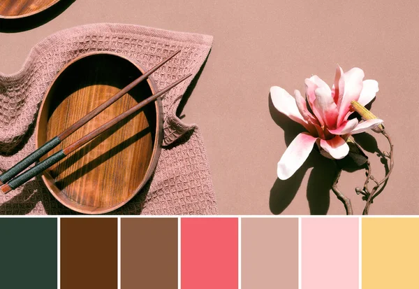 Color matching palette from image of wooden packed lunch box set. Lunch box with chopsticks on cotton towel, chopsticks and white pink magnolia flower.
