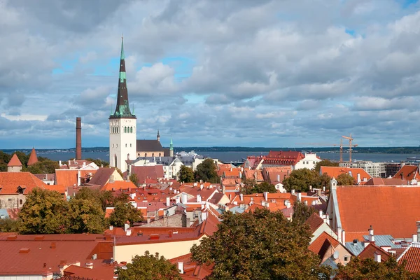 Vogelperspektive Des Historischen Stadtzentrums Von Tallinn Estland Herbstbäume Türme Und — Stockfoto