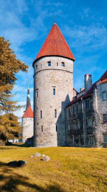 Eski kasabadaki ortaçağ binaları ve kuleleri. Estonya 'daki Picturesque Tallinn, tarihi Avrupa mimarisi.
