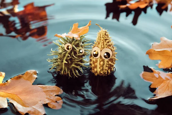 Handmade Spiky Monsters Googly Eyes Handmade Diy Characters Pool Water — Stock Photo, Image