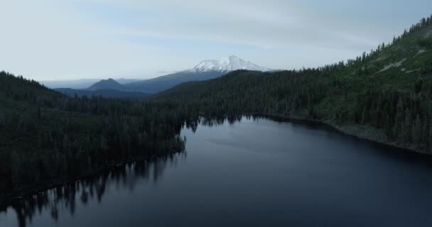 Flygbilder från Mount Shasta och Castle Lake, drönarvideo från Shasta-Trinity National Forest, Kalifornien, USA Stockfilm