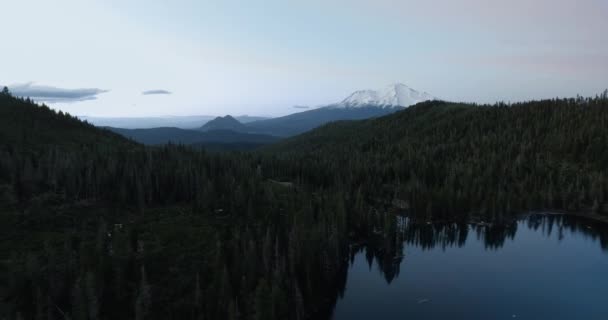 Drone utsikt över Shasta-Trinity National Forest, flygbilder av Mount Shasta och Castle Lake, Kalifornien, USA Stockfilm