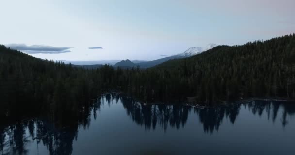 Drone flyger från Castle Lake, antenn video fånga Shasta-Trinity National Forest landskap, Kalifornien, USA — Stockvideo