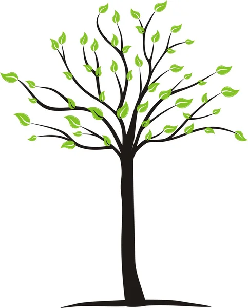 Tree — Stock Photo, Image