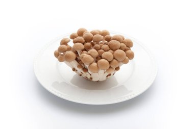 Beyaz arkaplanda izole edilmiş tabakta shimeji mantarı