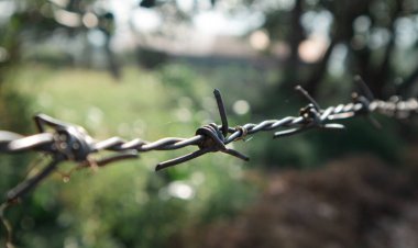 Bulanık arkaplana yakın dikenli tel görüntüsü