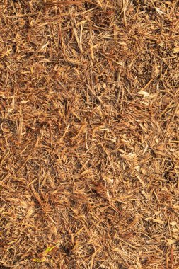 Çamur toprak desenli toprağın fotoğrafı.