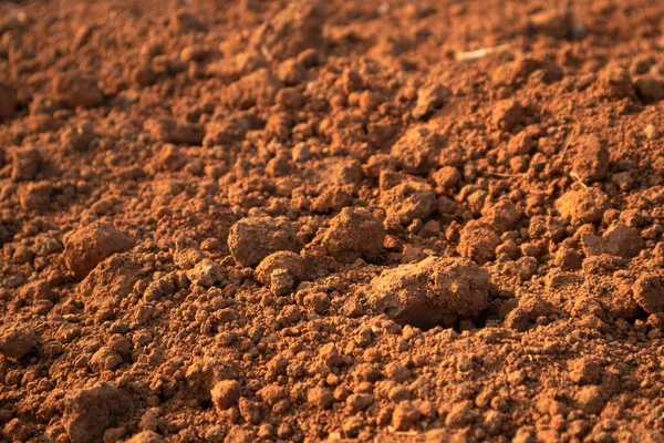 Çamur toprak desenli toprağın fotoğrafı.