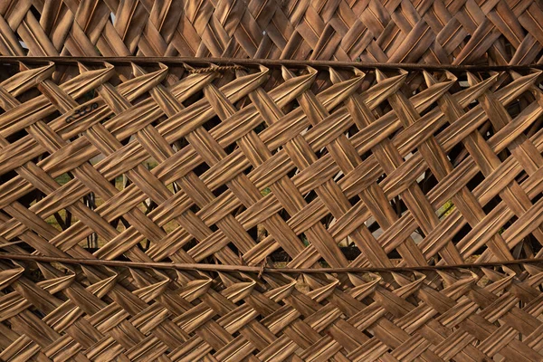 Tarım alanında bitkiler ve yeşil yaprak yetiştirme ekinleri