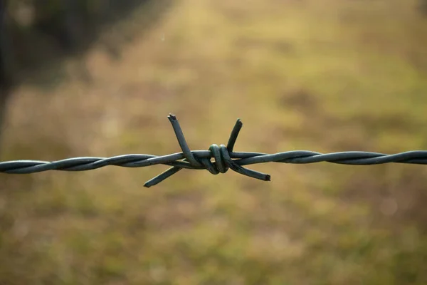 Bulanık arkaplana yakın dikenli tel görüntüsü