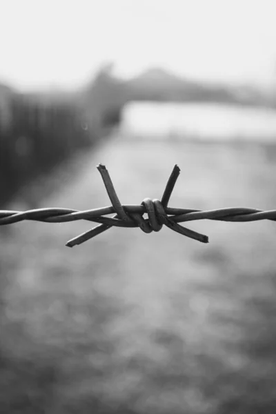 Bulanık arkaplana yakın dikenli tel görüntüsü