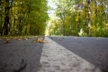 Otobanda beyaz şerit. Seçici odak.