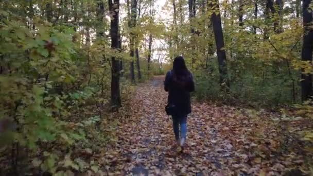 Девушка с цветами гуляет по осеннему лесу — стоковое видео