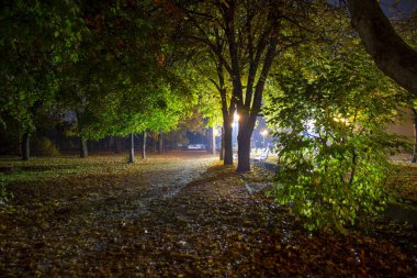 Fenerli ve yapraklı bir gece parkı.