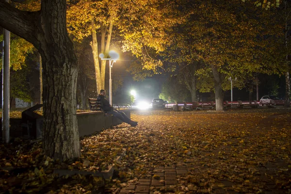 Parque noturno com lanternas e folhas caídas — Fotografia de Stock