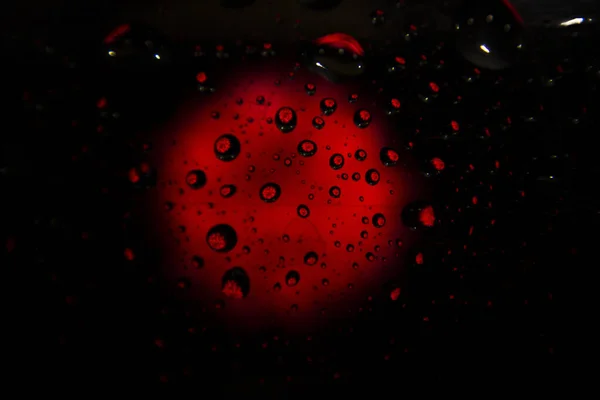 Czerwony Kwiat Przez Krople Wody — Zdjęcie stockowe
