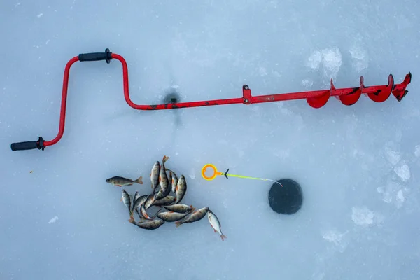 Ледяное Дрель Зимний Стержень Окунь Рыбы Льду Зимний Лов — стоковое фото