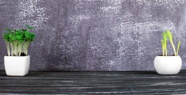 Beyaz bir tencerede salatalık tohumları..