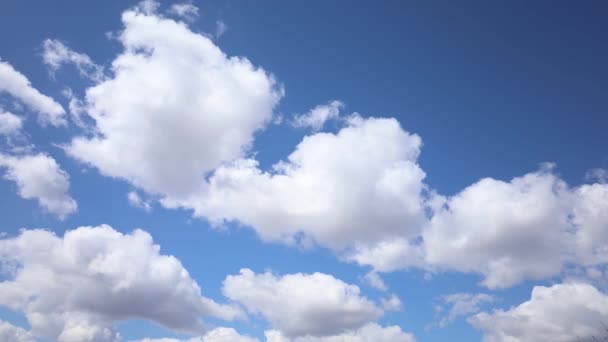 Weiße flauschige Wolken vor blauem Himmel 4k-Video — Stockvideo