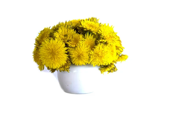 Flores de dente-de-leão amarelas em vaso isolado em branco — Fotografia de Stock