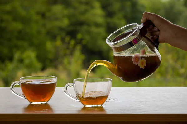 Teapot Transparent Cup Tea Nature — Stock Photo, Image