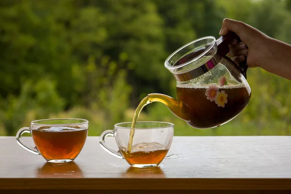 Theepot Met Een Doorzichtig Kopje Thee Natuur — Stockfoto