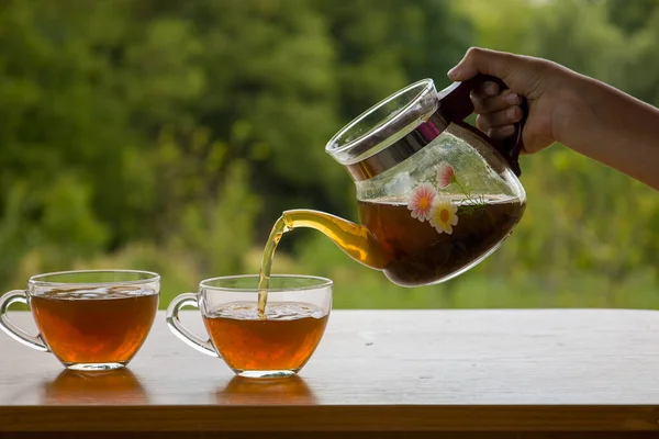 Teapot with a transparent cup of tea in nature