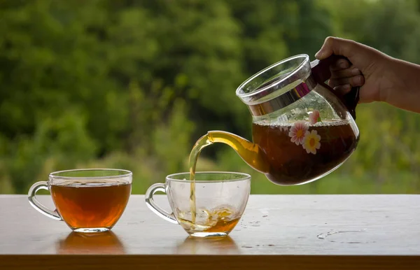 Teapot with a transparent cup of tea in nature
