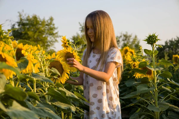Little Girl Field Sunflowers Blurred Background — Photo