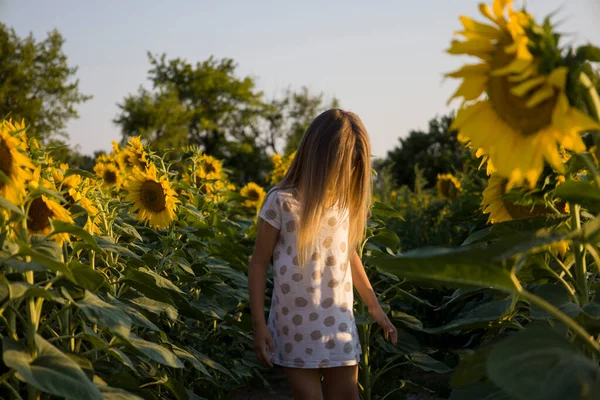 Little Girl Field Sunflowers Blurred Background —  Fotos de Stock