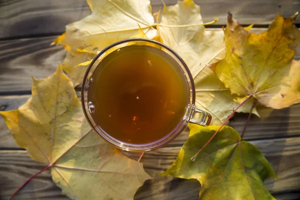 Filiżanka Herbaty Pobliżu Jesiennych Liści — Zdjęcie stockowe