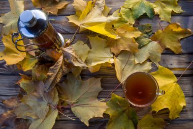 Sonbahar yapraklarının yanında bir fincan çay..