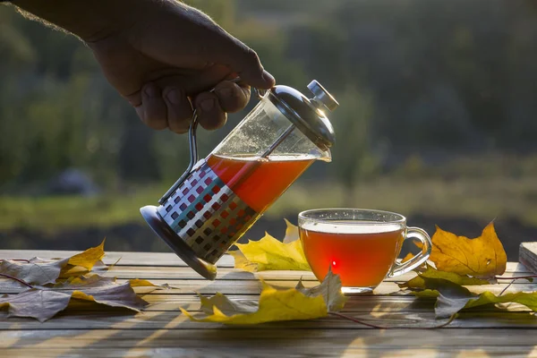Pouring tea into a cup on the background of the sunset, with autumn yellow leaves.