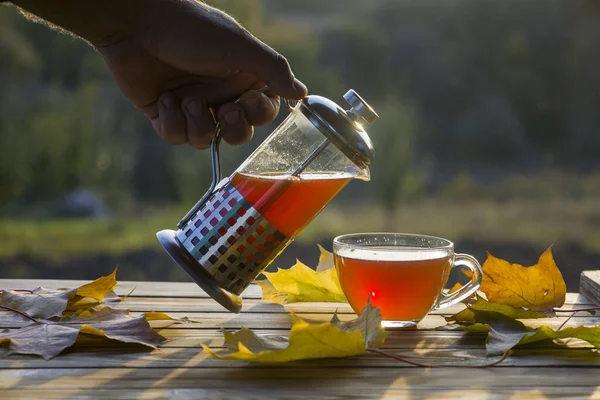 Pouring Tea Cup Background Sunset Autumn Yellow Leaves — Stock Photo, Image