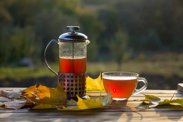 Czajnik Herbatą Filiżanką Pobliżu Jesiennych Liści — Zdjęcie stockowe