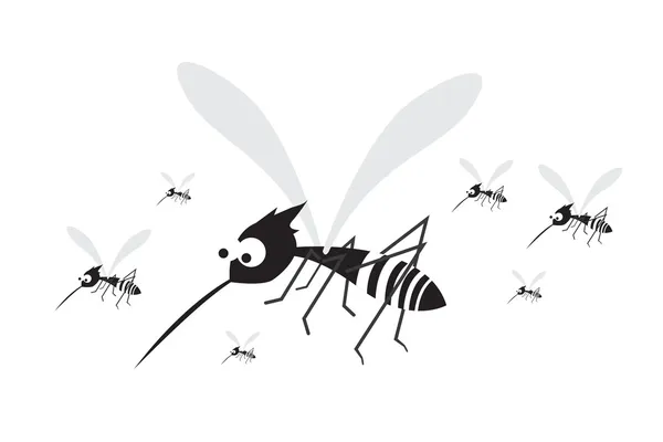 Ciclo de vida Mosquito — Vector de stock